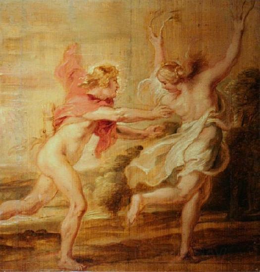 Peter Paul Rubens Apollo and Daphne France oil painting art